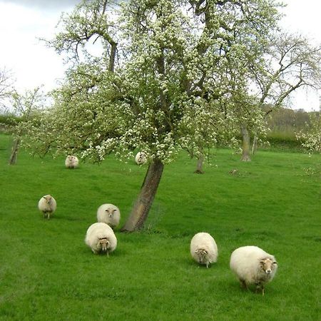 Hoeve Schevey Mechelen Zewnętrze zdjęcie