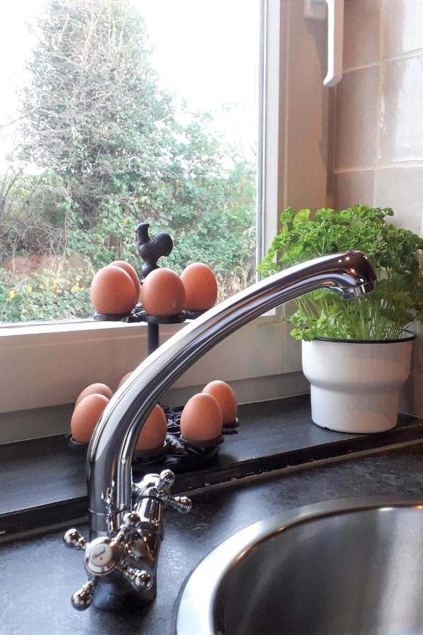 Hoeve Schevey Mechelen Zewnętrze zdjęcie